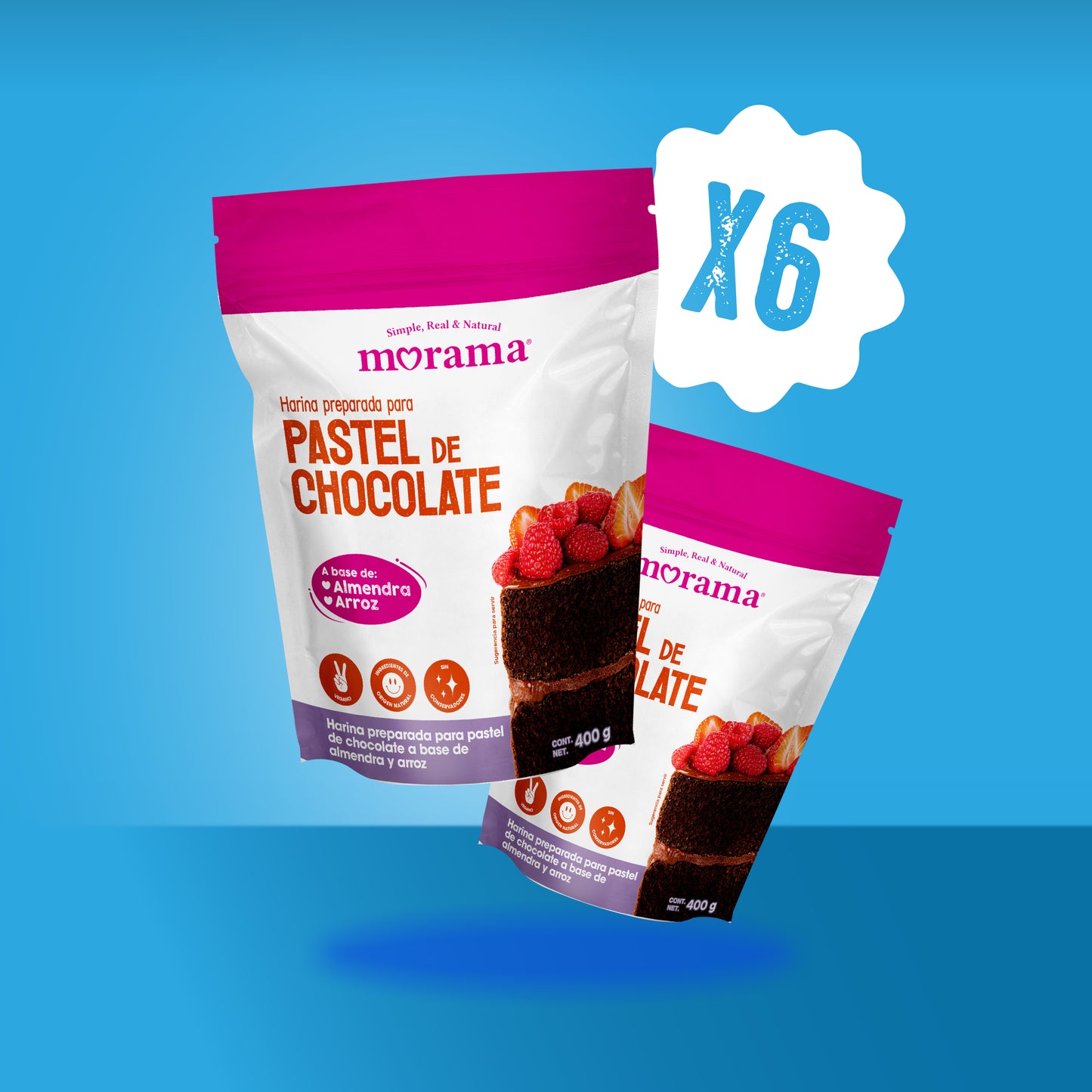 6 Piezas Harina para Pastel Chocolate